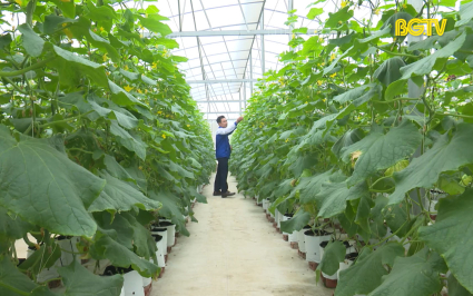 Hiệu quả vốn vay hỗ trợ thanh ni&ecirc;n khởi nghiệp 