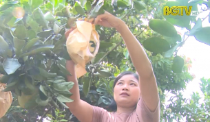 Hộ ngh&egrave;o tự nguyện xin tho&aacute;t ngh&egrave;o