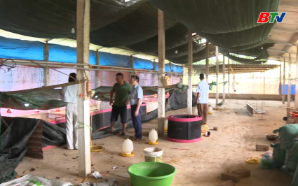 Hỗ trợ người d&acirc;n t&aacute;i đ&agrave;n &ndash; ổn định chăn nu&ocirc;i