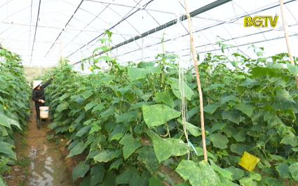 Hỗ trợ phụ nữ khởi nghiệp, ph&aacute;t triển kinh tế