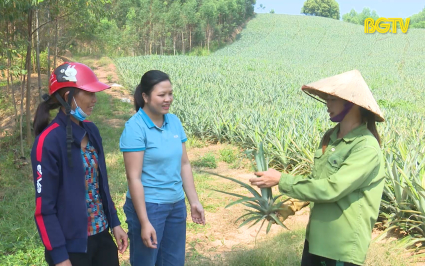 Hỗ trợ phụ nữ người đồng b&agrave;o DTTS ph&aacute;t triển kinh tế