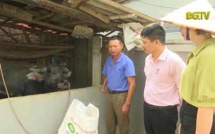 Hỗ trợ sinh kế cho người ngh&egrave;o