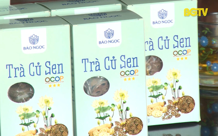 Hỗ trợ vốn tham gia x&acirc;y dựng sản phẩm Ocop
