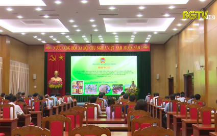 Hỗ trợ x&acirc;y dựng sản phẩm OCOP