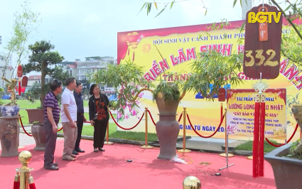 Hội chợ triển l&atilde;m sinh vật cảnh trưng b&agrave;y h&agrave;ng ngh&igrave;n t&aacute;c phẩm