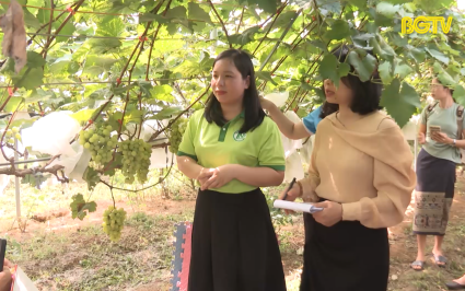 Hội LHPN tỉnh Xay Sổm Bun thăm m&ocirc; h&igrave;nh sản xuất n&ocirc;ng nghiệp