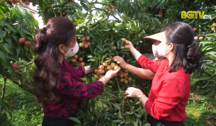 Hội Li&ecirc;n hiệp phụ nữ chung tay ti&ecirc;u thụ vải thiều