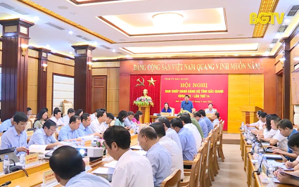 Hội nghị Ban chấp h&agrave;nh Đảng bộ tỉnh lần thứ 14, kh&oacute;a XIX