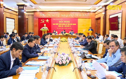 Hội nghị Ban Chấp h&agrave;nh Đảng bộ tỉnh lần thứ 16