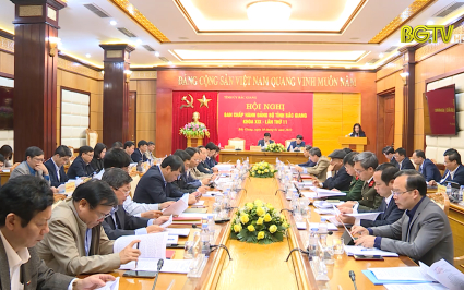 Hội nghị BCH Đảng bộ tỉnh lần thứ 11, kho&aacute; XIX