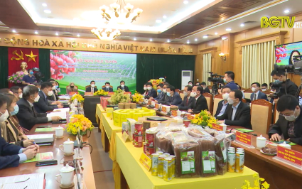Hội nghị "Kết nối giao thương, x&uacute;c tiến ti&ecirc;u thụ vải thiều"
