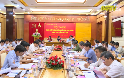Hội nghị lần thứ T&aacute;m Ban chấp h&agrave;nh Đảng bộ tỉnh kh&oacute;a XIX