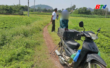 Kịp thời ph&aacute;t hiện, xử l&yacute; h&agrave;nh vi đ&aacute;nh bắt chim tr&aacute;i ph&eacute;p 
