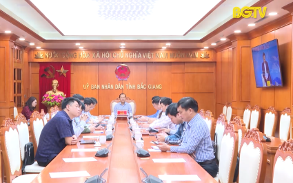 Triển khai chương tr&igrave;nh h&agrave;nh động về ngoại giao kinh tế