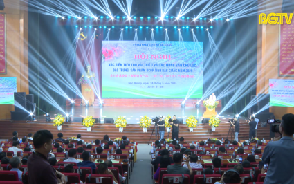 Bắc Giang x&uacute;c tiến ti&ecirc;u thụ vải thiều v&agrave; n&ocirc;ng sản chủ lực, đặc trưng