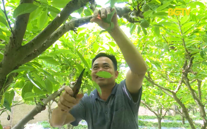 Hội N&ocirc;ng d&acirc;n ph&aacute;t triển m&ocirc; h&igrave;nh kinh tế tập thể 