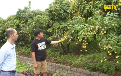 Hội n&ocirc;ng d&acirc;n T&acirc;n Y&ecirc;n x&acirc;y dựng mới 5 sản phẩm OCOP