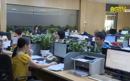 Hơn 300 doanh nghiệp số được th&agrave;nh lập 