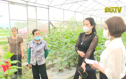 Hơn 600 HTX n&ocirc;ng, l&acirc;m nghiệp v&agrave; thủy sản 