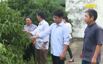 Hơn 7.200 Đảng vi&ecirc;n l&agrave; người d&acirc;n tộc thiểu số  