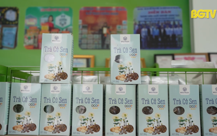 Hợp t&aacute;c x&atilde; th&uacute;c đẩy ph&aacute;t triển sản phẩm OCOP