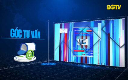 Hộp thư truyền h&igrave;nh ng&agrave;y 07-04-2023