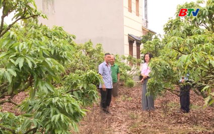 Hộp thư truyền h&igrave;nh ng&agrave;y 08-08-2025