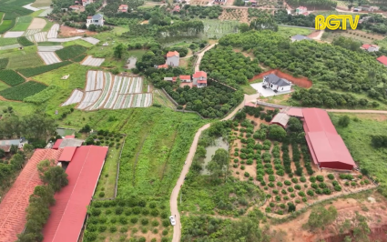 Hộp thư truyền h&igrave;nh ng&agrave;y 10-05-2024