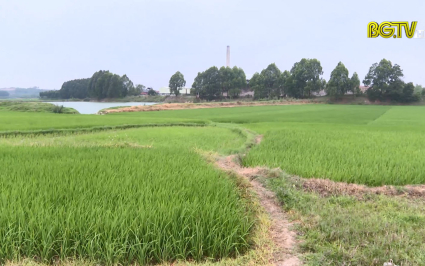 Hộp thư truyền h&igrave;nh ng&agrave;y 15-04-2022