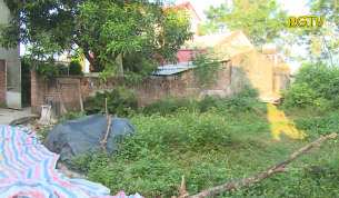 Hộp thư truyền h&igrave;nh ng&agrave;y 15 - 10 - 2021