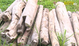 Hộp thư truyền h&igrave;nh ng&agrave;y 19 - 03 - 2021