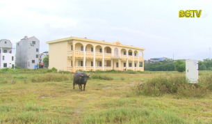 Hộp thư truyền h&igrave;nh ng&agrave;y 24 - 09 - 2021