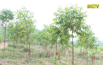 Hộp thư truyền h&igrave;nh ng&agrave;y 29-04-2022