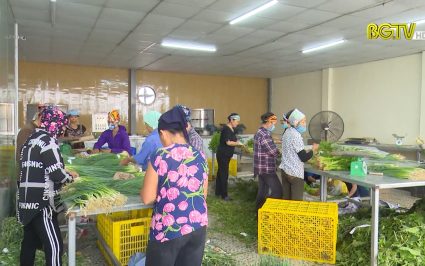 Hợp t&aacute;c x&atilde;, doanh nghiệp - Trung t&acirc;m triển khai chương tr&igrave;nh OCOP