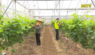 Hướng Hợp t&aacute;c x&atilde; tới ph&aacute;t triển bền vững