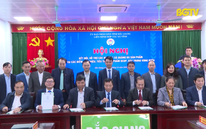 Kết nối, quảng b&aacute; sản phẩm hợp t&aacute;c x&atilde; 