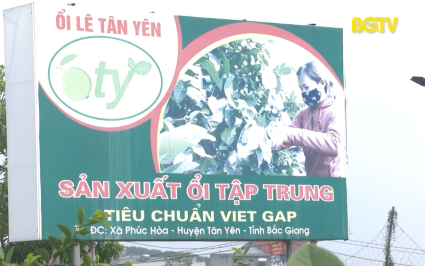 KH&CN: Hiệu quả từ c&aacute;c dự &aacute;n, đề t&agrave;i khoa học
