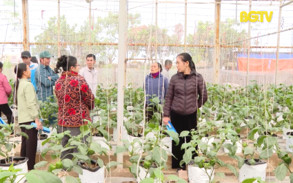 KH&CN: N&acirc;ng cao hoạt động ứng dụng khoa học c&ocirc;ng nghệ