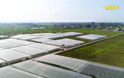 KH&CN: Ng&agrave;y hội khởi nghiệp đổi mới s&aacute;ng tạo