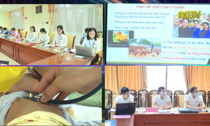 KH&CN: Th&agrave;nh tựu khoa học c&ocirc;ng nghệ 2021