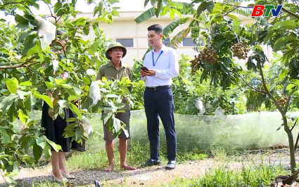 Khắc phục kh&oacute; khăn, đảm bảo tiến độ tổng điều tra sau s&aacute;p nhập