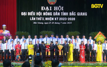 Đại hội Đại biểu Hội N&ocirc;ng d&acirc;n tỉnh Bắc Giang lần thứ X