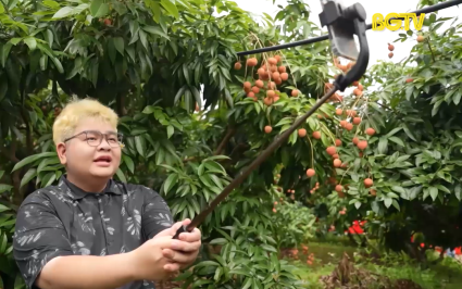 Kh&aacute;m ph&aacute; vải thiều ch&iacute;n sớm T&acirc;n Y&ecirc;n 