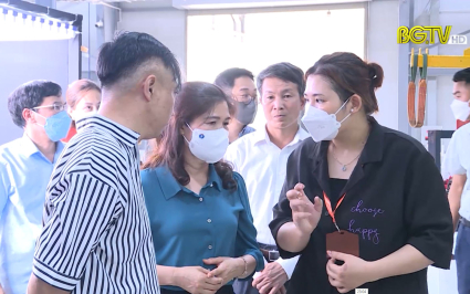 Khảo s&aacute;t c&aacute;c dự &aacute;n đầu tư tại KCN V&acirc;n Trung