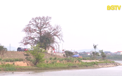 Khảo sát tuyến du lịch tâm linh "Con đường hoằng dương phật pháp Trúc Lâm Yên Tử"