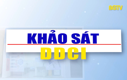 H&ocirc;m nay kết th&uacute;c khảo s&aacute;t DDCI năm 2024