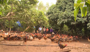 Kh&oacute; khăn trong ti&ecirc;u thụ n&ocirc;ng sản m&ugrave;a dịch