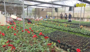 Khoa học v&agrave; C&ocirc;ng nghệ: Th&agrave;nh tựu Khoa học v&agrave; C&ocirc;ng nghệ Bắc Giang