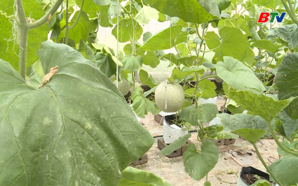 Khoa học v&agrave; C&ocirc;ng nghệ: Ph&aacute;t triển doanh nghiệp khoa học c&ocirc;ng nghệ