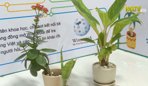 Khơi dậy đam m&ecirc; s&aacute;ng tạo khoa học kỹ thuật trong học sinh